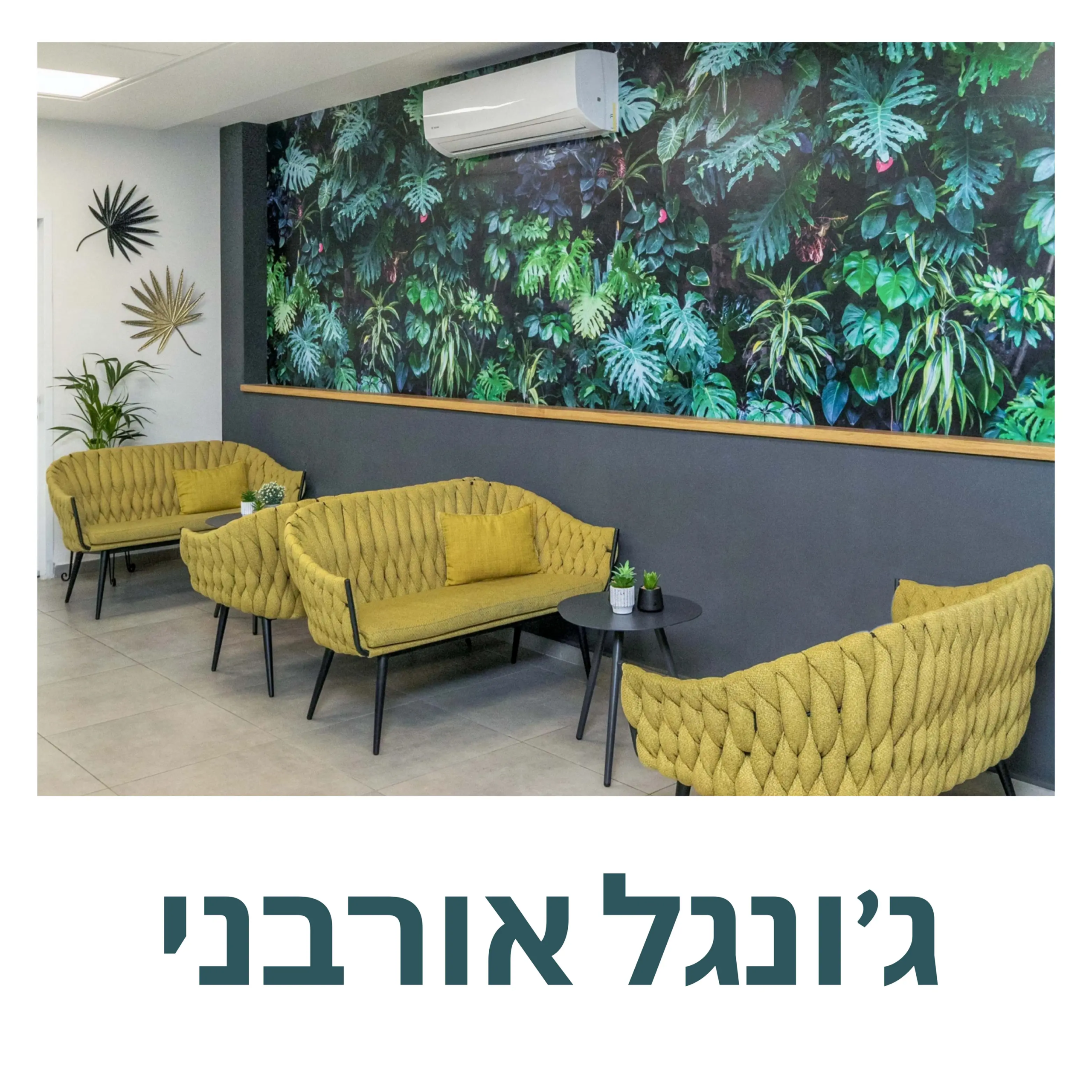 חבילת צבעים - פלטה 2 גונגל אורבני