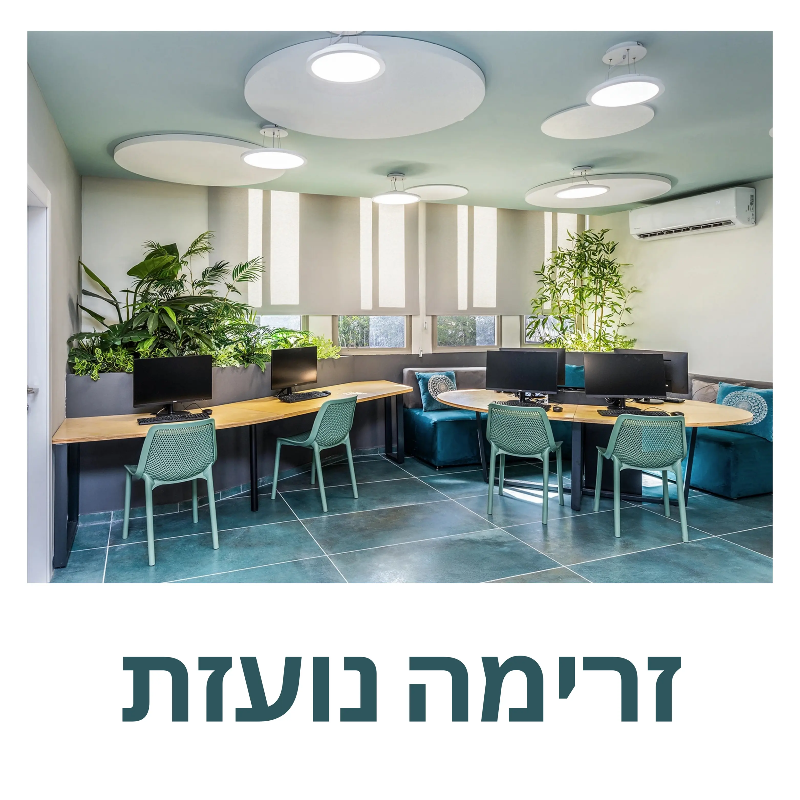 חבילת צבעים - פלטה 5 זרימה נועזת